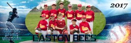 Easton Bees 9 without Coaches